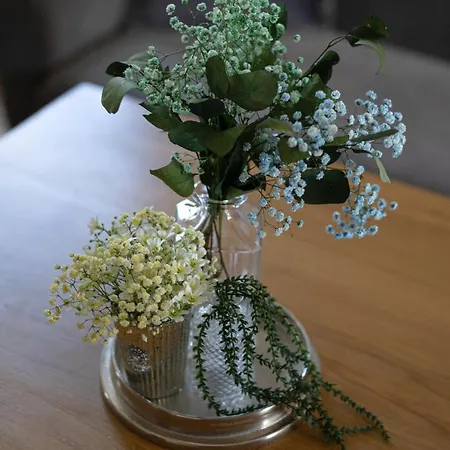 Szafran - Sudeckie Historie * Duszniki Zdrój