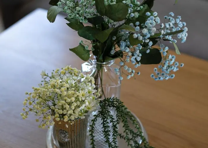 Szafran - Sudeckie Historie * Duszniki Zdrój